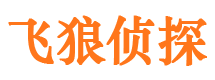 温岭私人调查